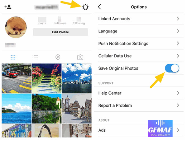 How to download Instagram posts? - freemember.top